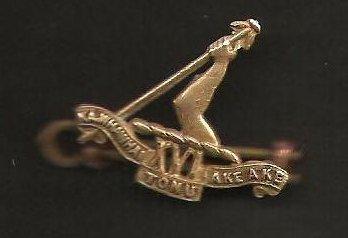 Brass Pin